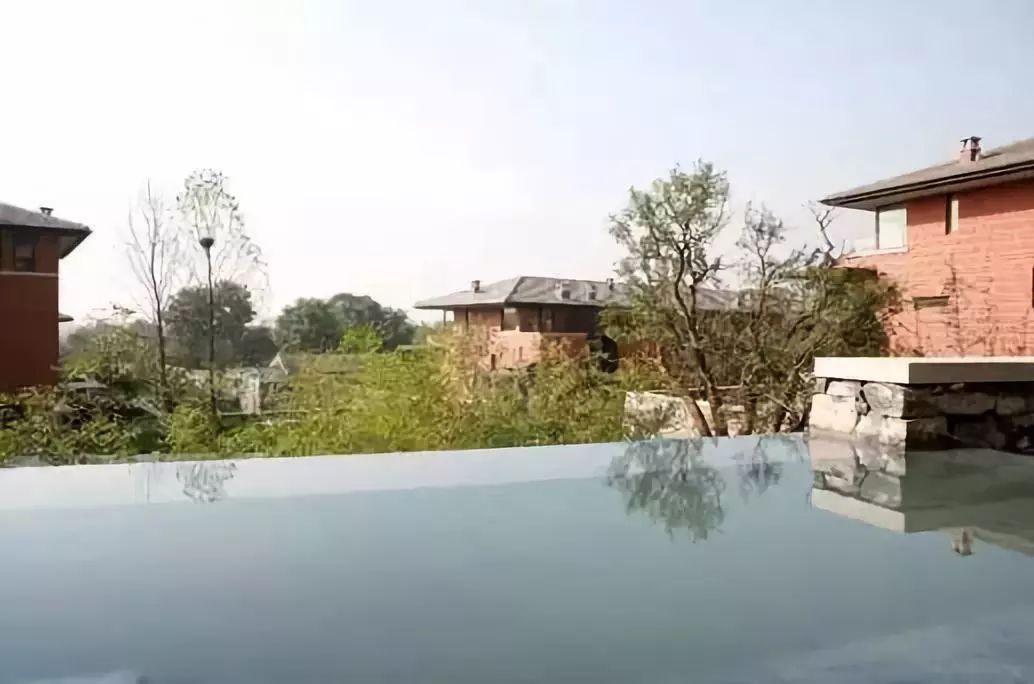 26328941.jpg