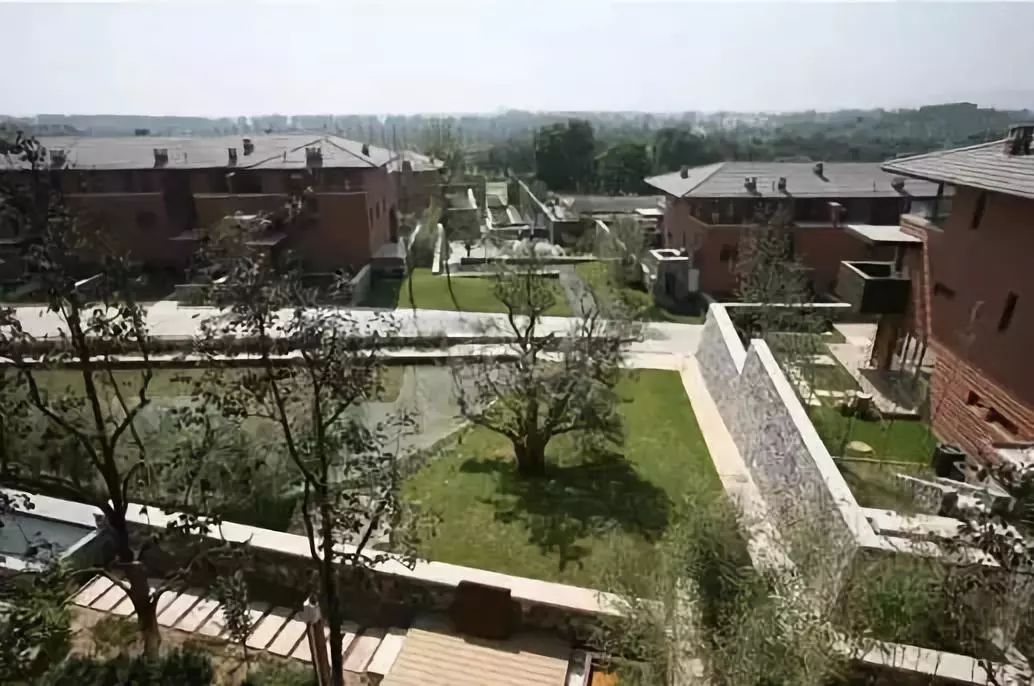 26328942.jpg