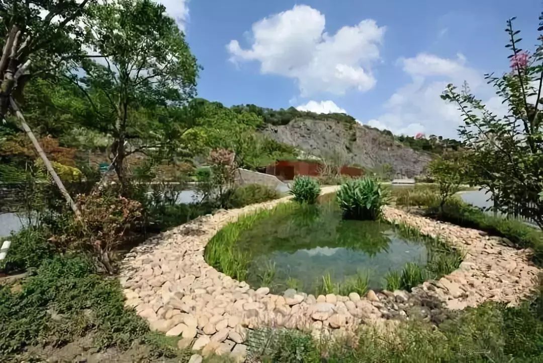 26328952.jpg