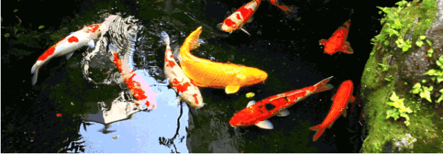 30a5f1fa-8bd2-4c59-912f-c9ade93bda5c.png