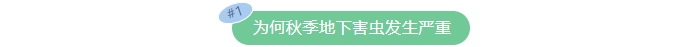 微信截图_20250918154202.png