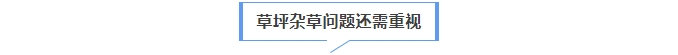 微信截图_20250918155245.png