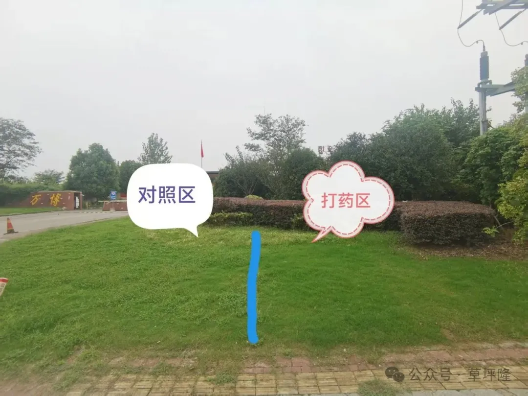640.webp