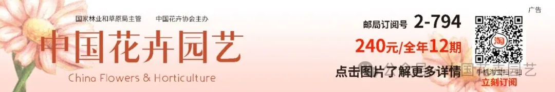 640.webp