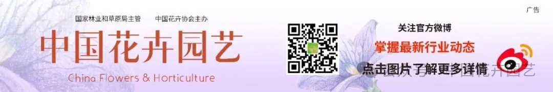 5-5.webp