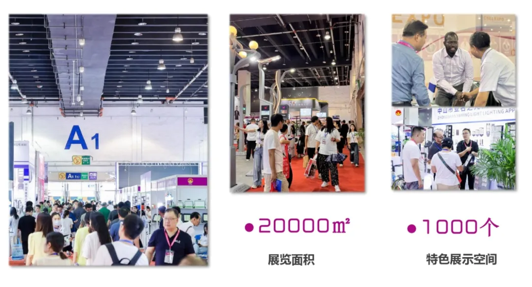 3.webp