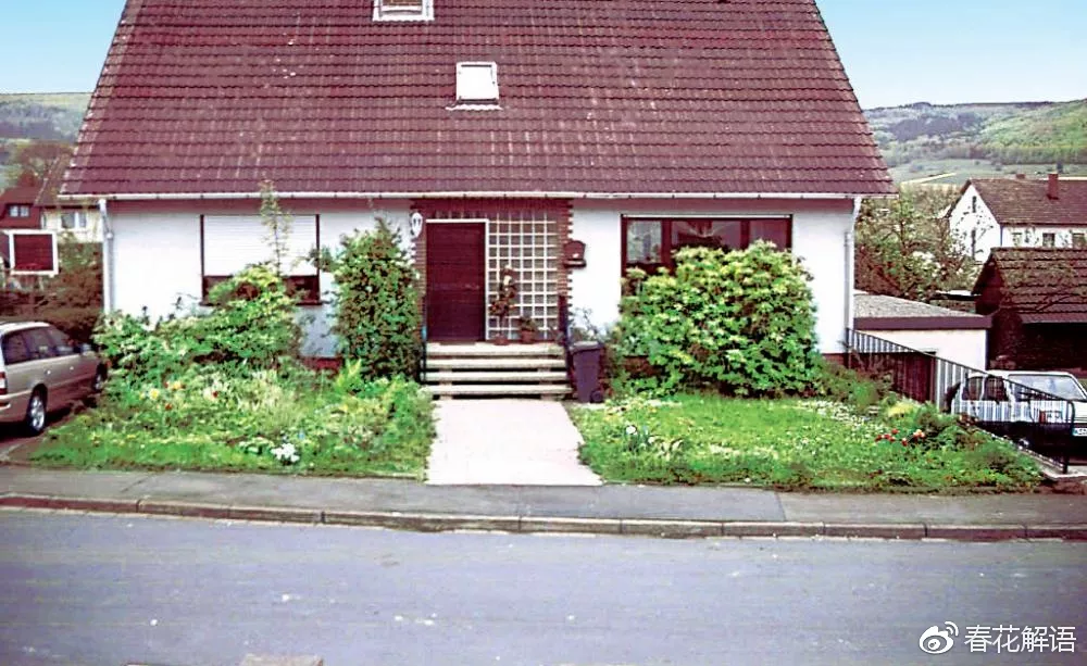 12.webp