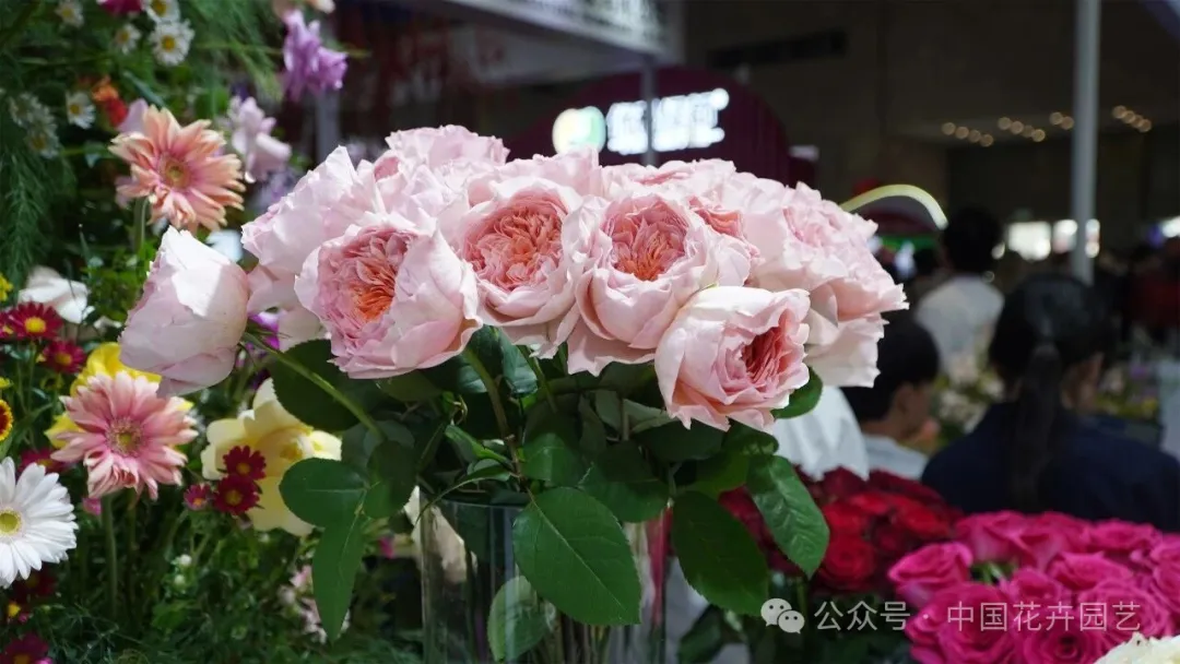 4-15.webp